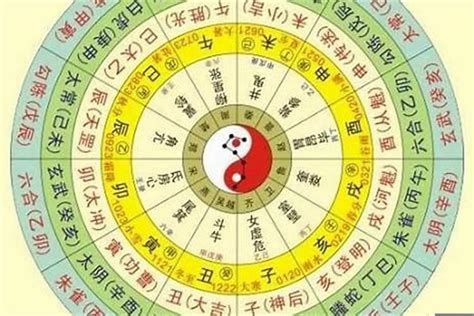 四柱五行|四柱八字排盘